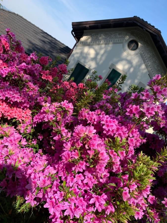 ベルジラーテGiardini Magnoliaアパートメント エクステリア 写真
