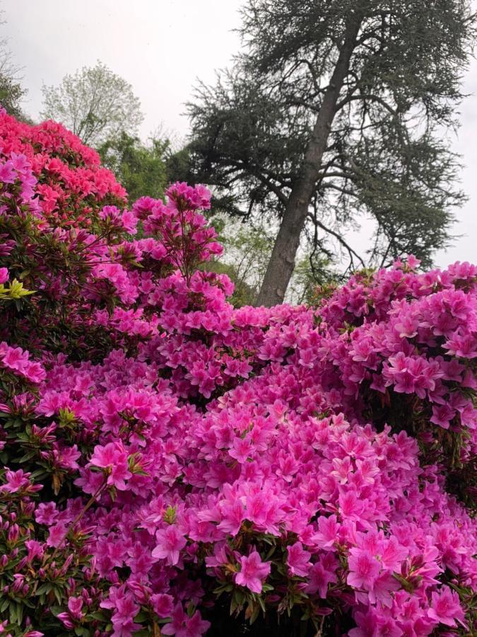 ベルジラーテGiardini Magnoliaアパートメント エクステリア 写真