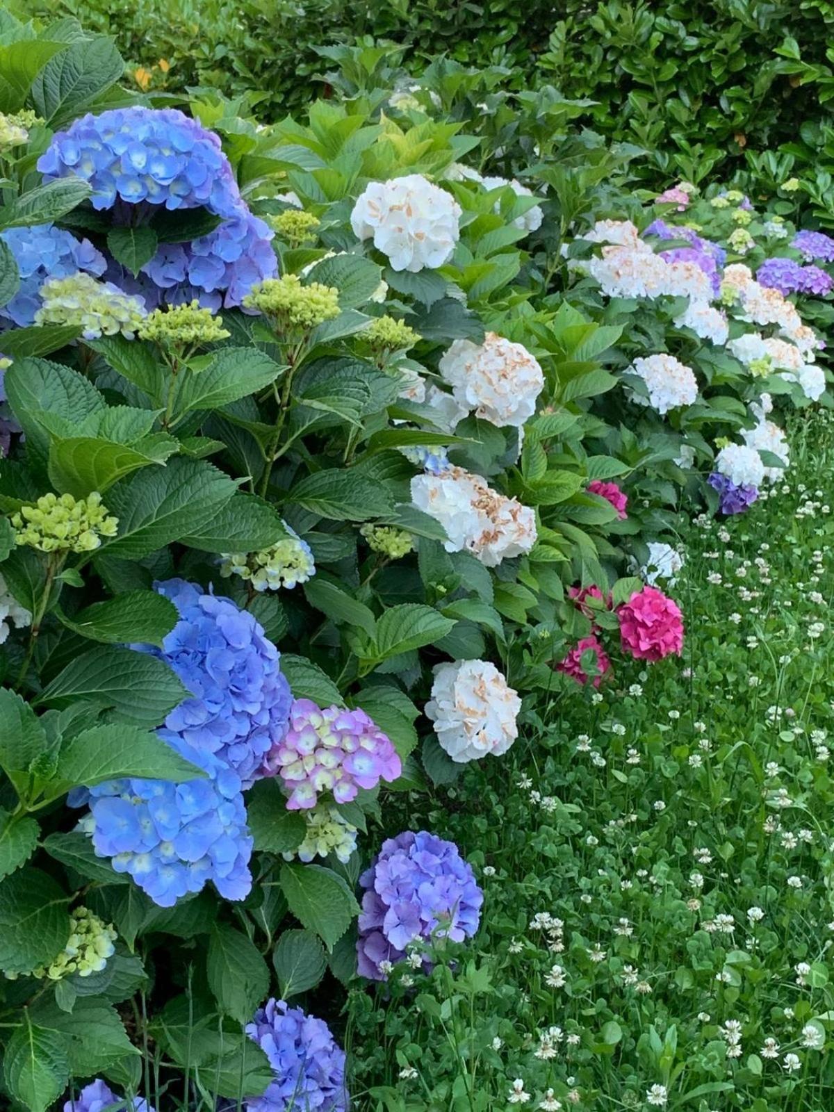 ベルジラーテGiardini Magnoliaアパートメント エクステリア 写真